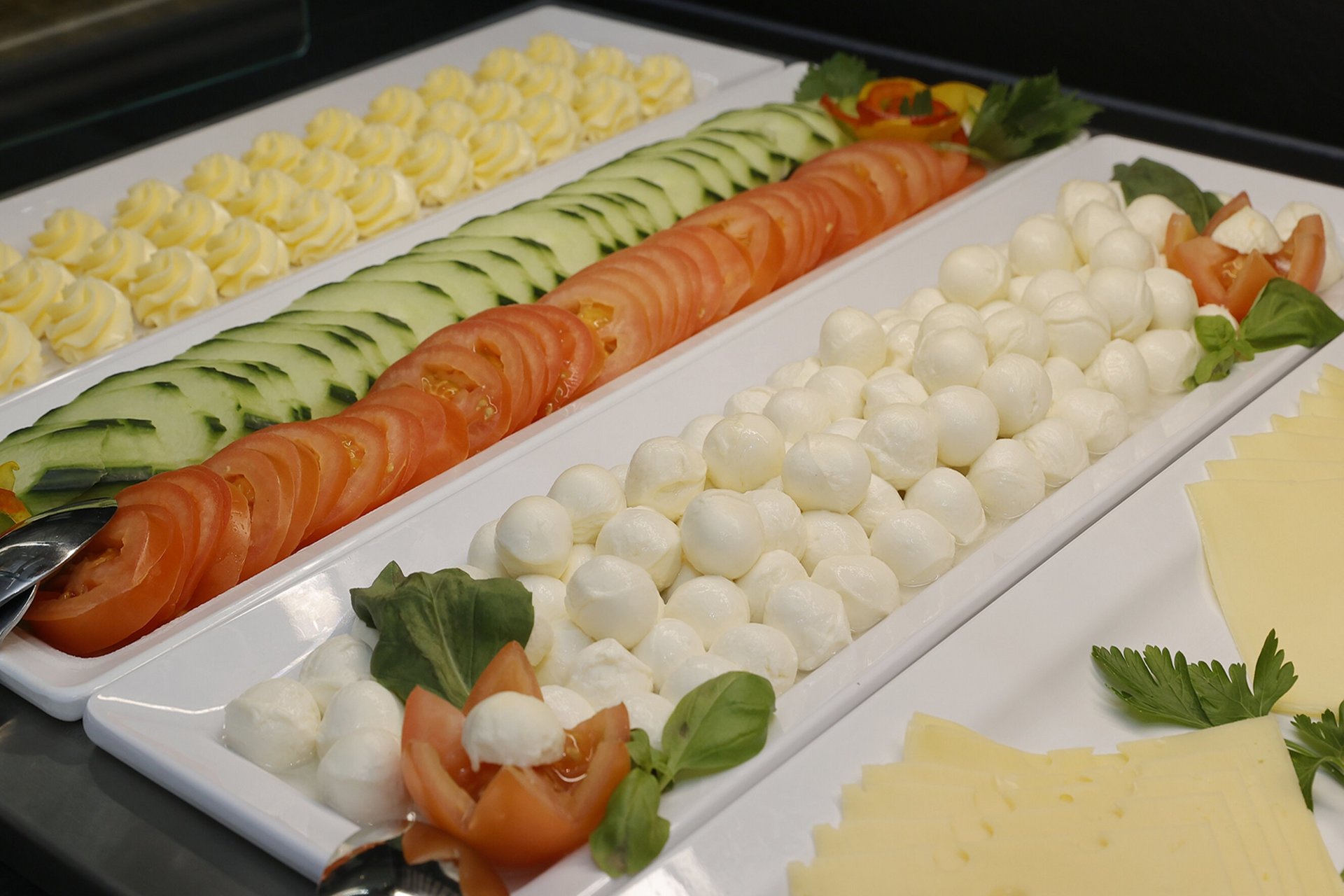 Our hotel at the exhibition centre: the picture gallery Platters with mozzarella, tomatoes, cucumbers, butter, and cheese on a buffet